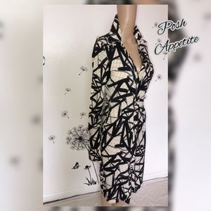 Diane von Furstenberg button down dress